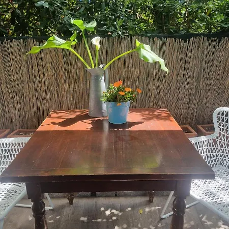 Villacolle Guest house *